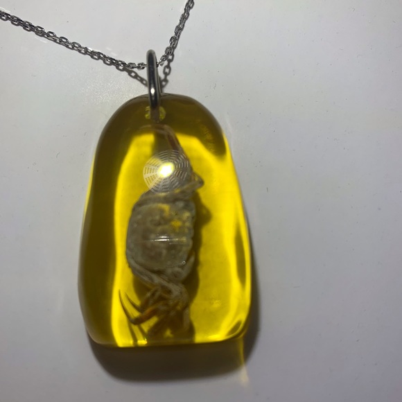 Natural Amber Silver 925 Necklace w/ real crab - Picture 3 of 6